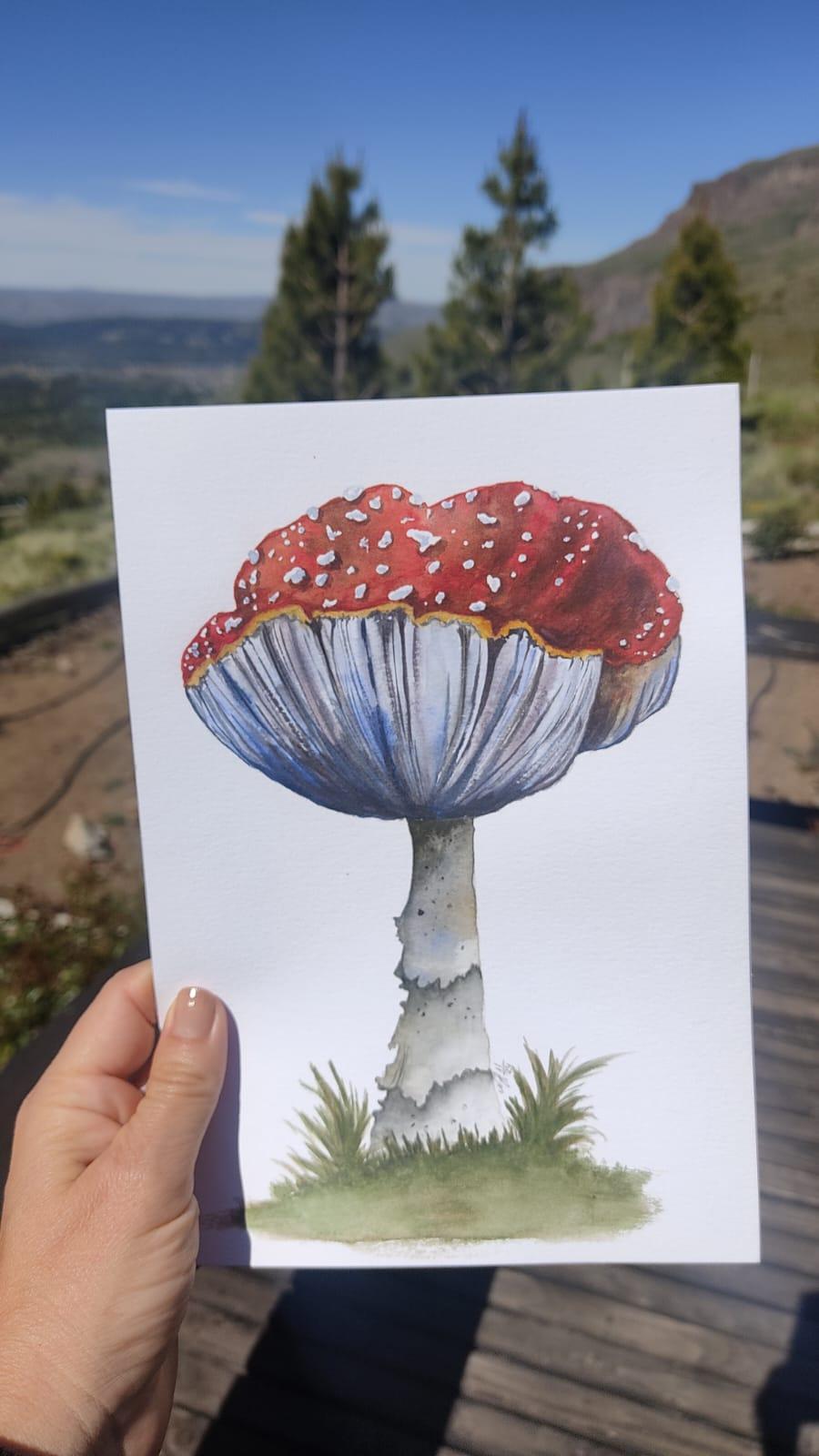 Red Mushroom - image 2 - student project