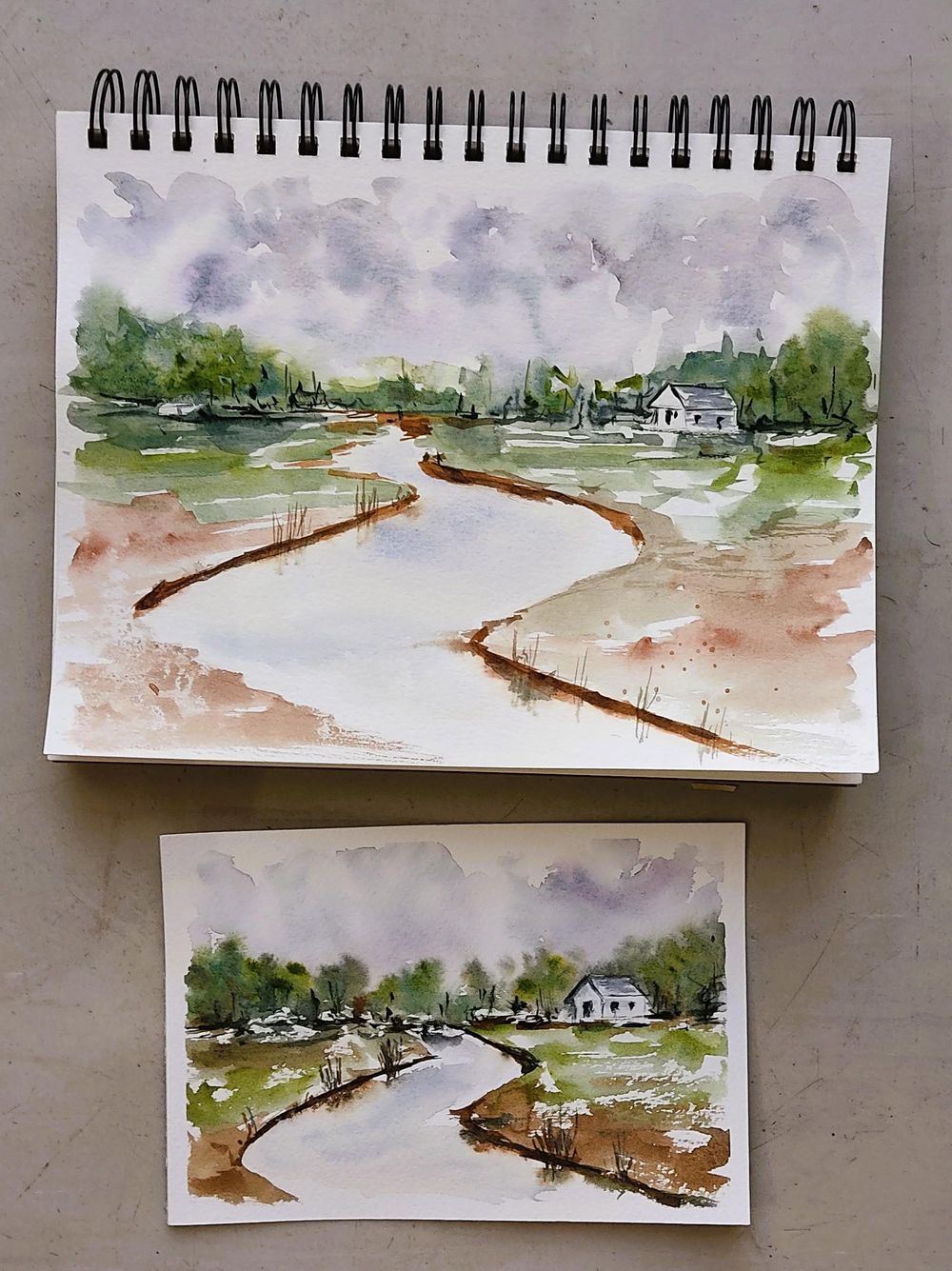 Loose Watercolour Landscape - Practicing Speed and Timing without Panicking - image 1 - student project