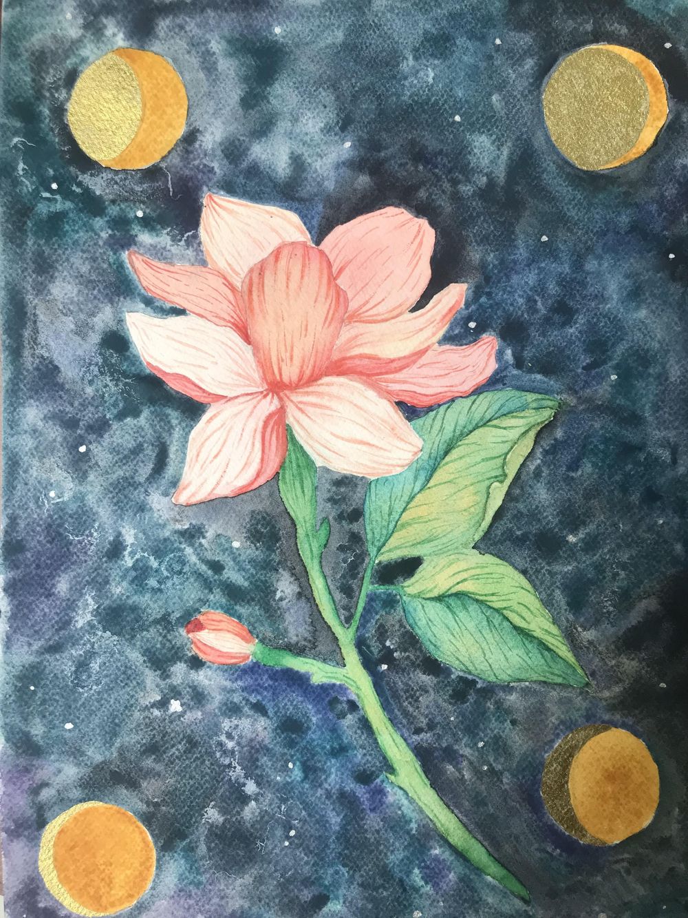 Dark Magnolia - image 1 - student project