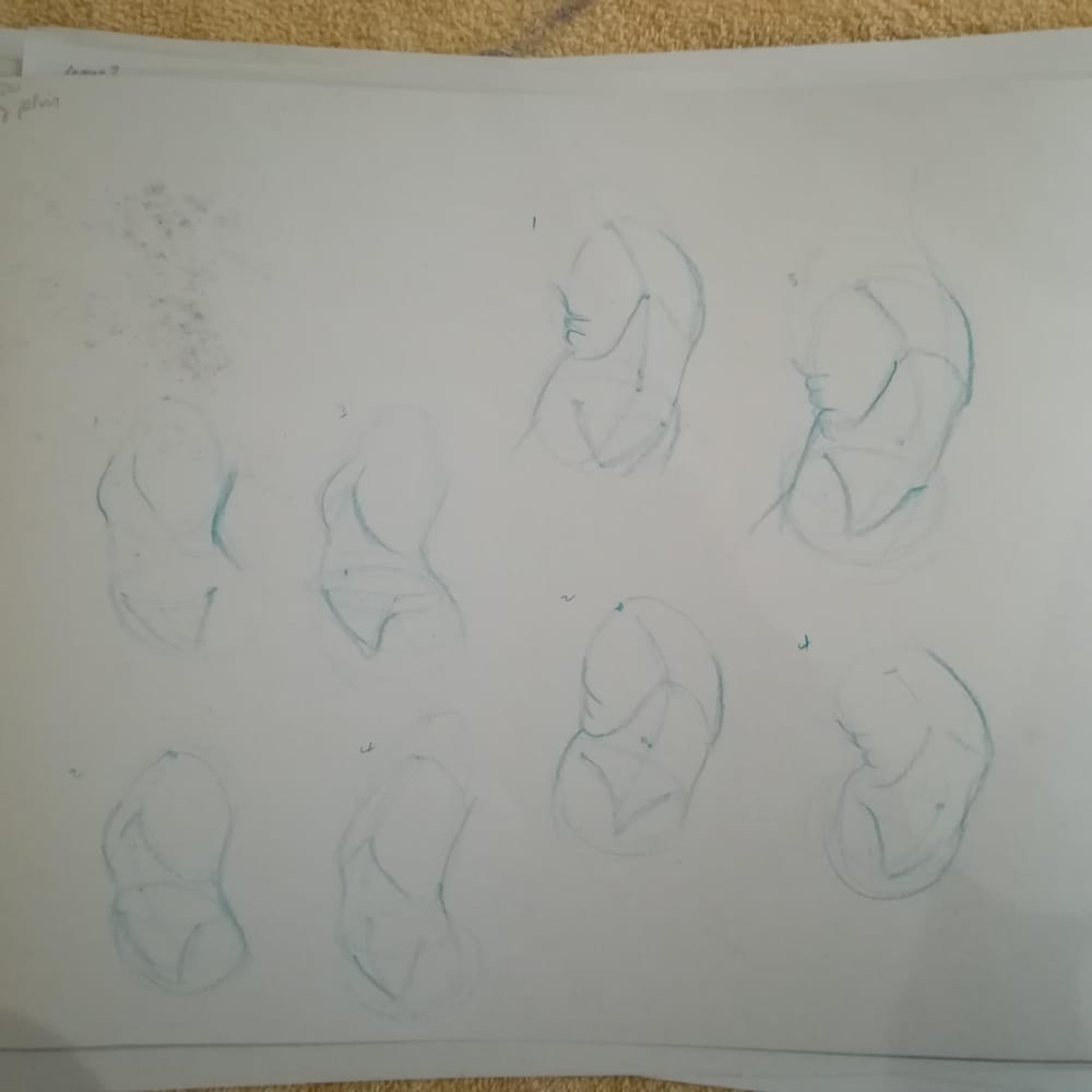 Making omelettes - image 10 - student project