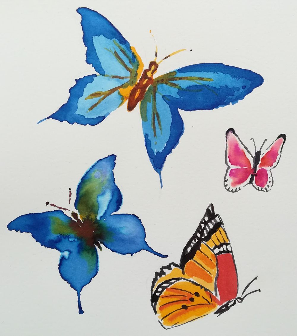 A splash of colour - image 11 - student project
