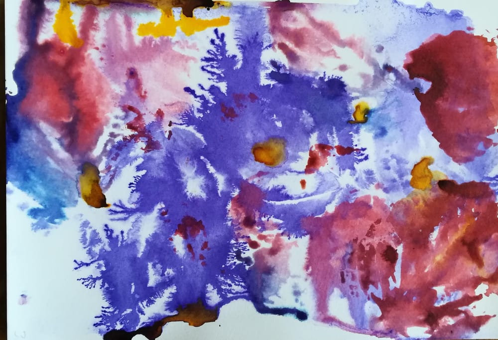 A splash of colour - image 6 - student project