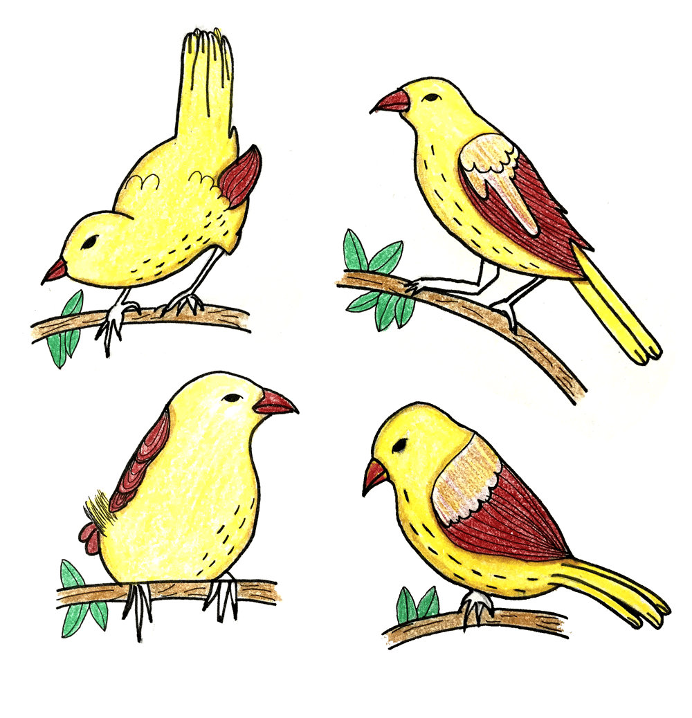 Exercise1: Draw a Pattern - image 1 - student project