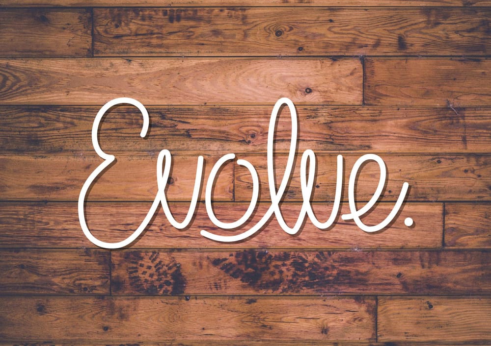 Evolve Monoline styled - image 3 - student project