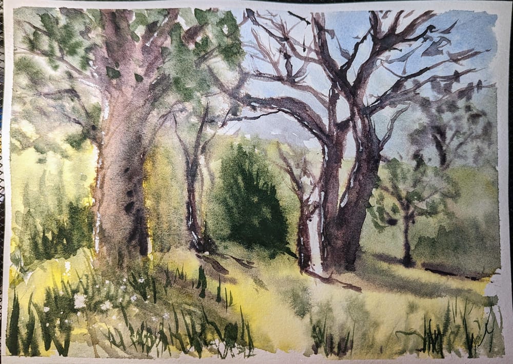 Loose Landscape - image 1 - student project