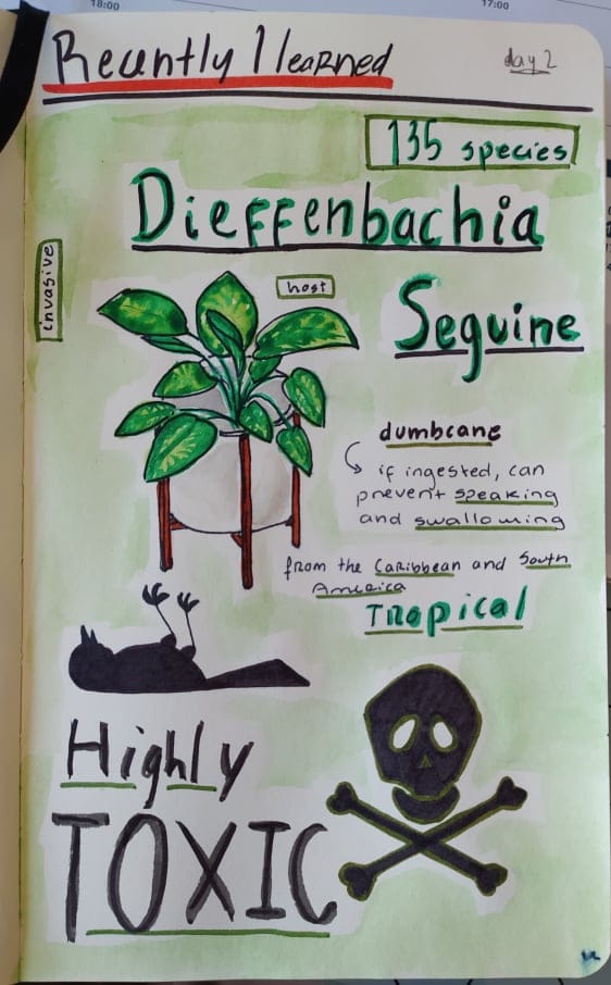 14 Day Illustrated Journaling - image 2 - student project