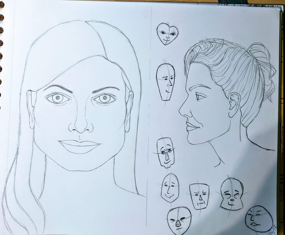 Dianna's attempt at Constructing a Face - image 1 - student project