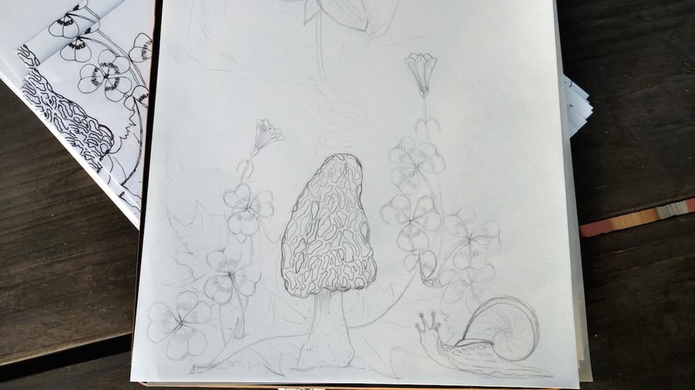 Woodland in Spring Wallpaper - image 1 - student project