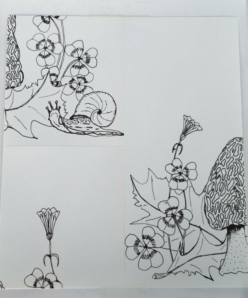 Woodland in Spring Wallpaper - image 3 - student project
