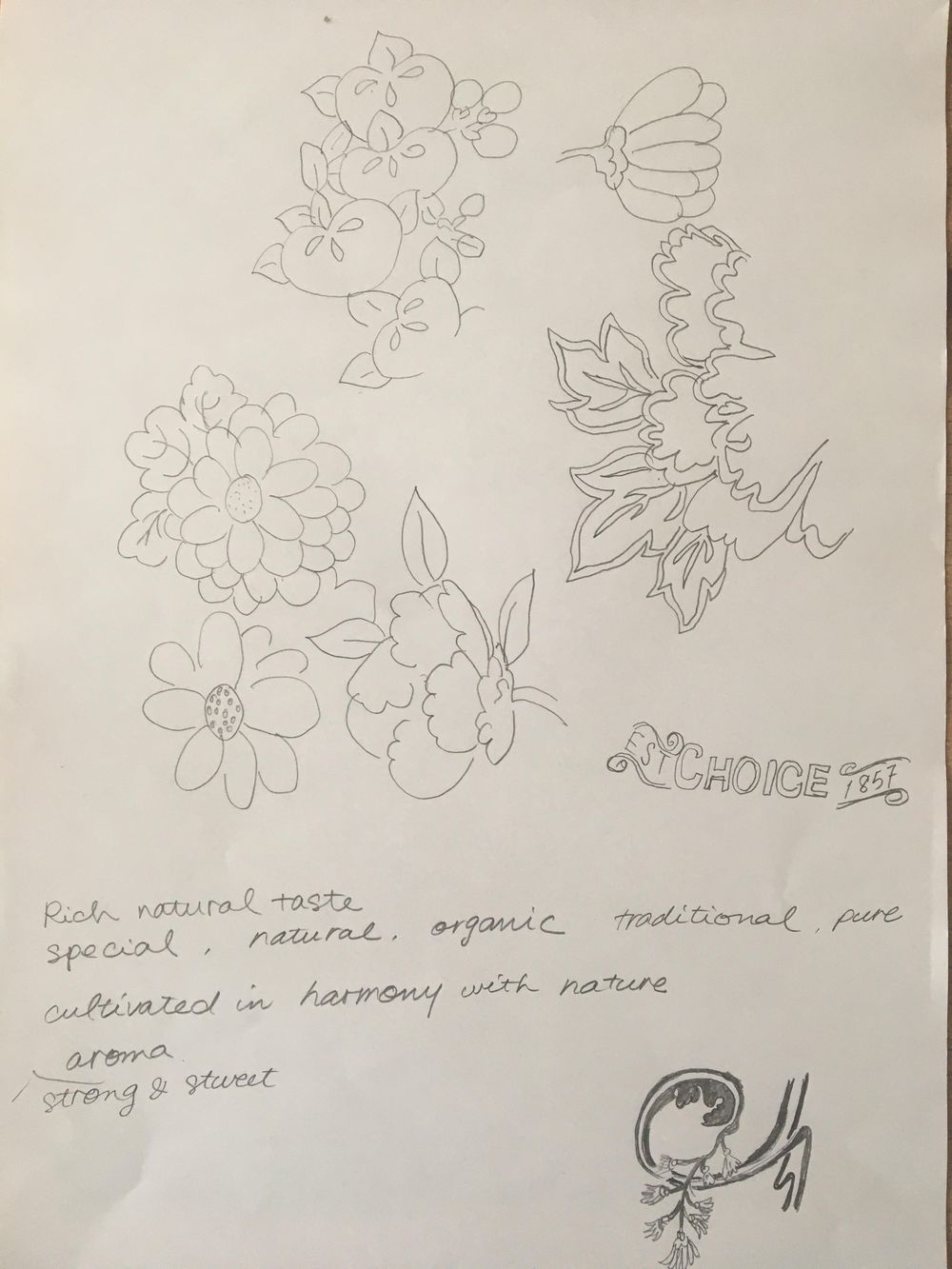 vintage style packaging for green tea - image 3 - student project