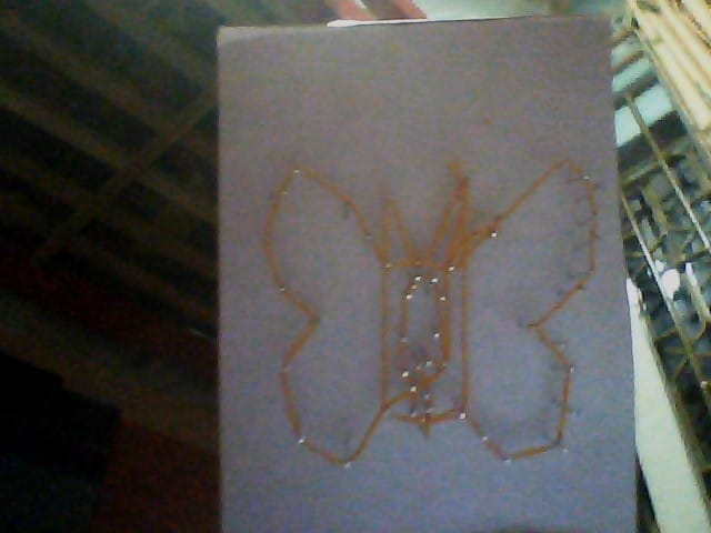 butterfly - image 1 - student project