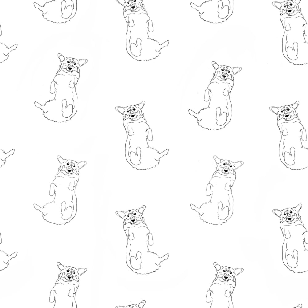 Corgi on Repeat - image 4 - student project
