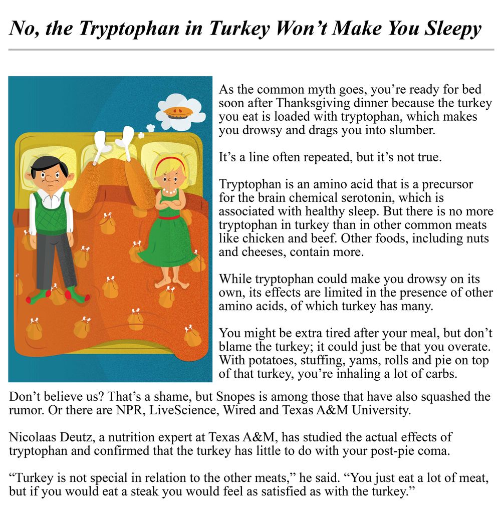Sleepy Turkey - image 6 - student project