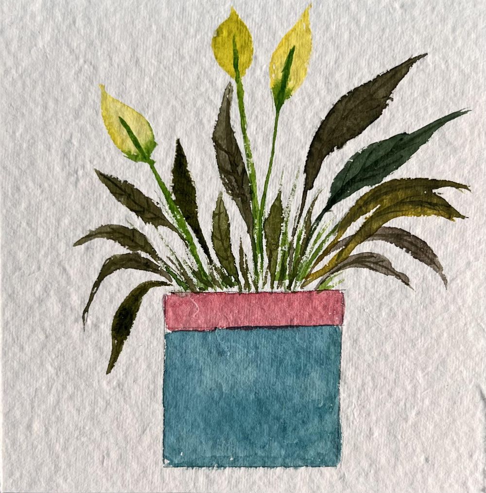 Potted plants Skillshare Student Project