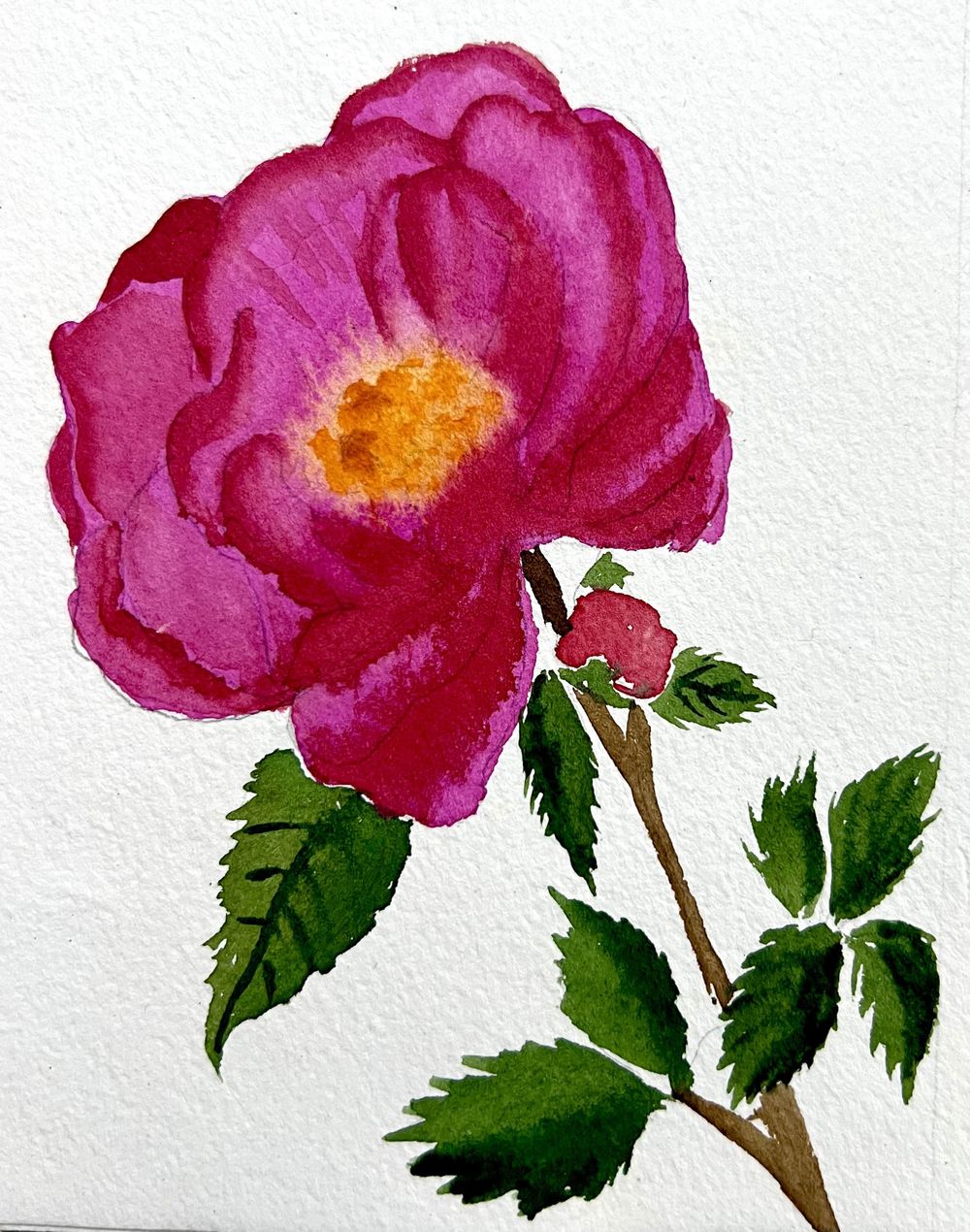 Loose but precise watercolor florals - image 3 - student project