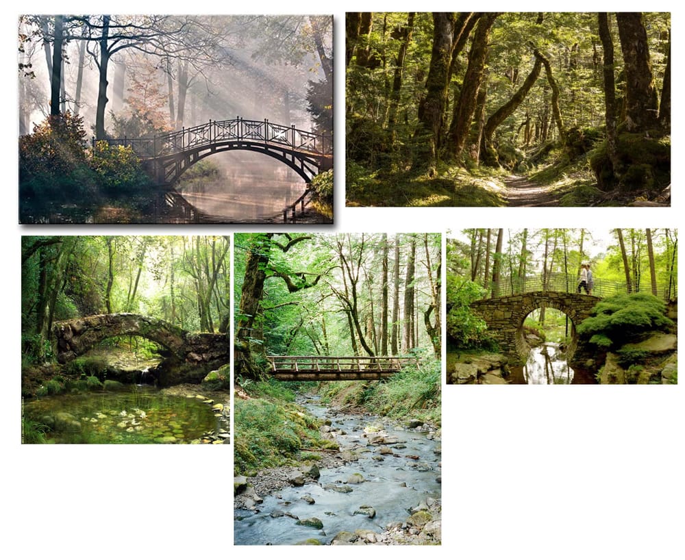Whimsical Forest - Update: Spooky Forest - image 2 - student project