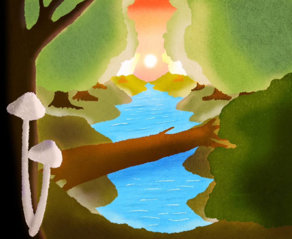 Whimsical Forest - Update: Spooky Forest - image 4 - student project