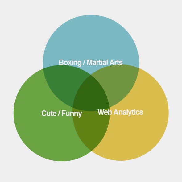 Analytics Fight Club - image 3 - student project