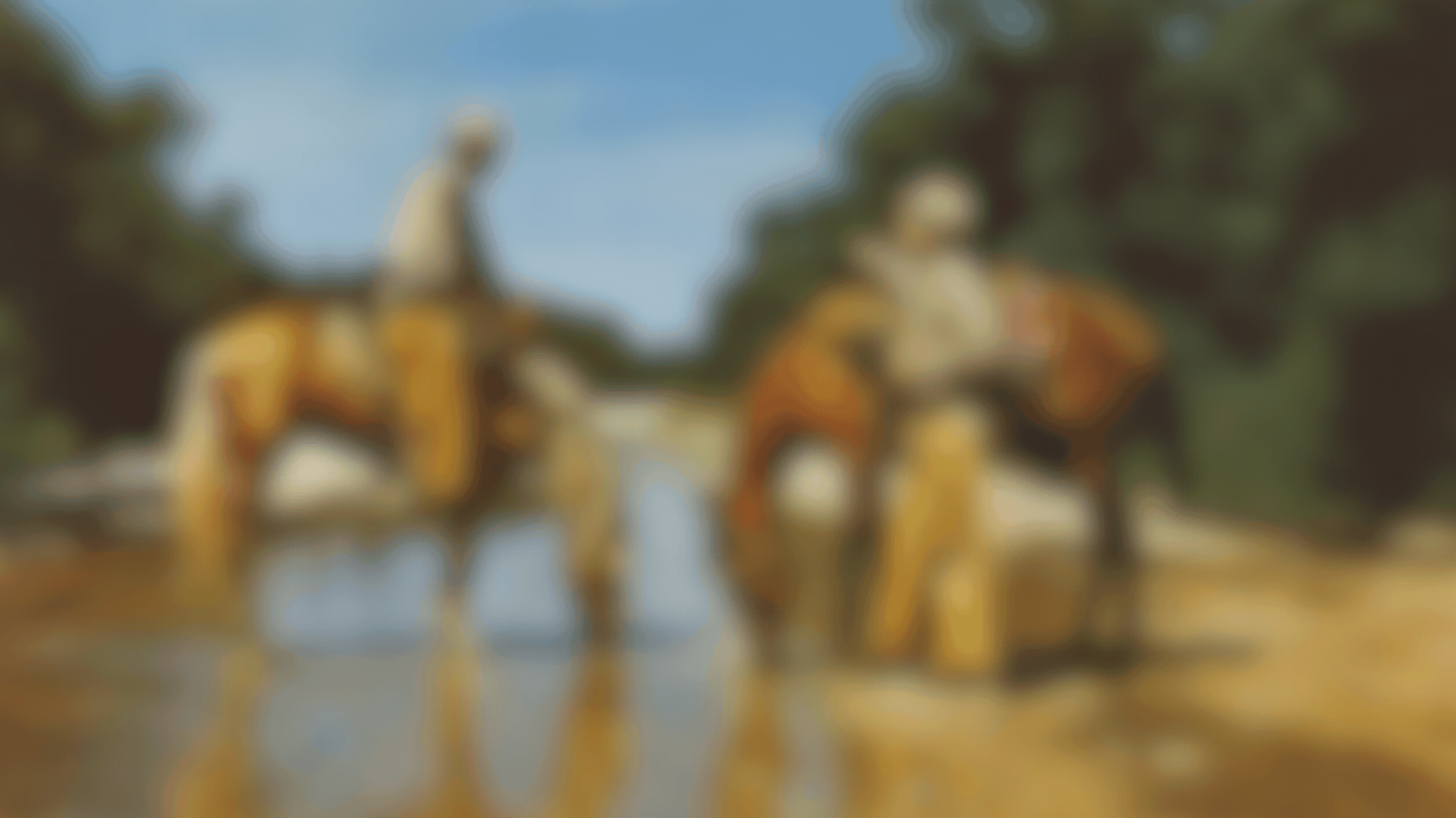 Title Animation - image 1 - student project