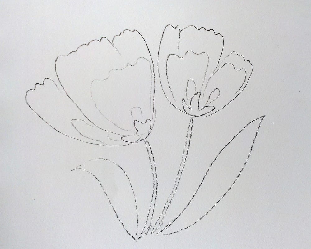 Loose watercolor tulips - image 2 - student project