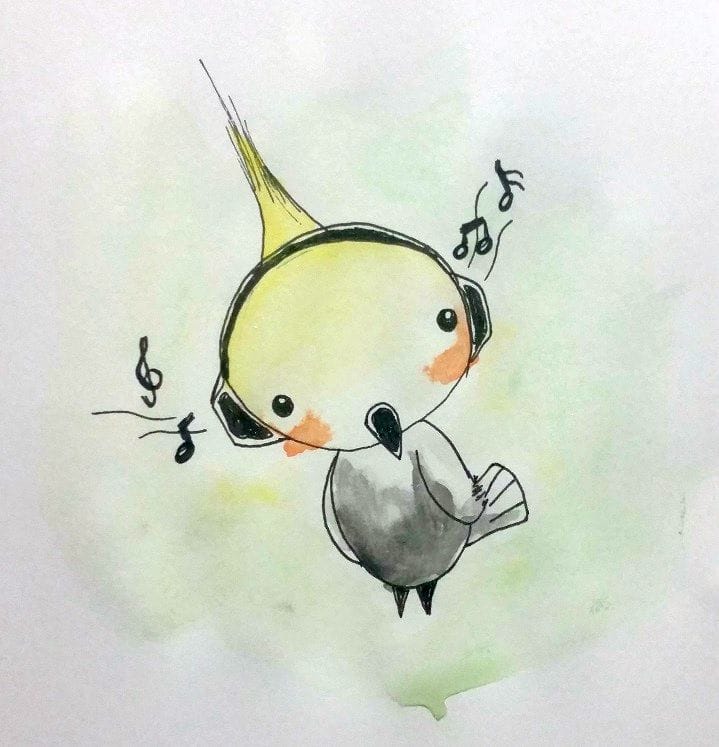 My Cute Cockatiel - image 2 - student project