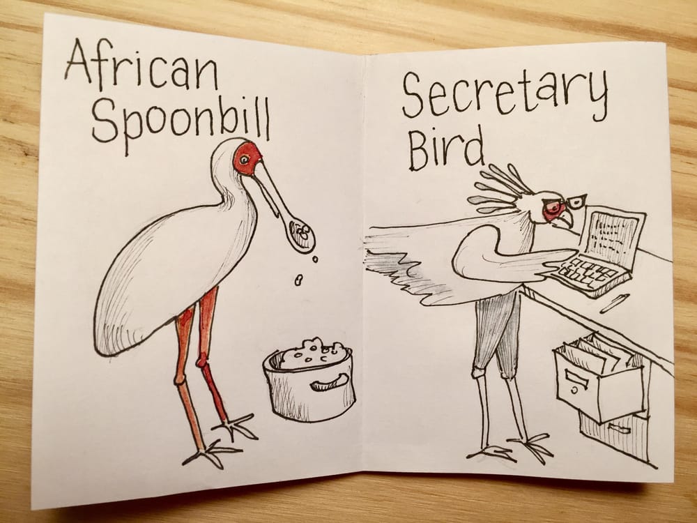 Birds of South Africa - image 3 - student project
