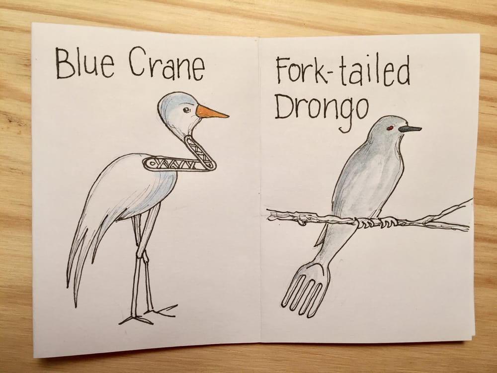 Birds of South Africa - image 2 - student project