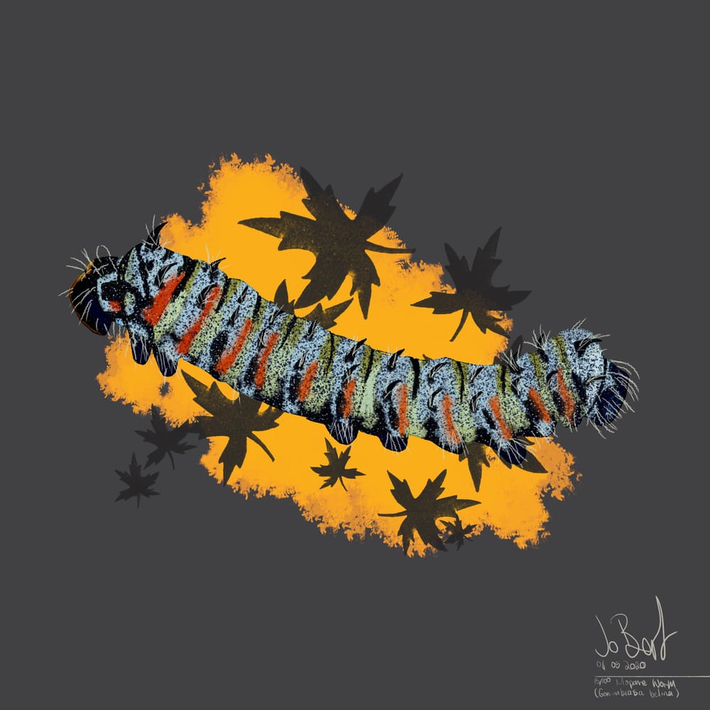 100 illustrated bugs! - image 14 - student project
