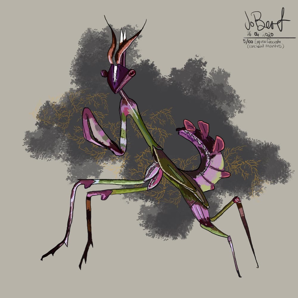 100 illustrated bugs! - image 6 - student project