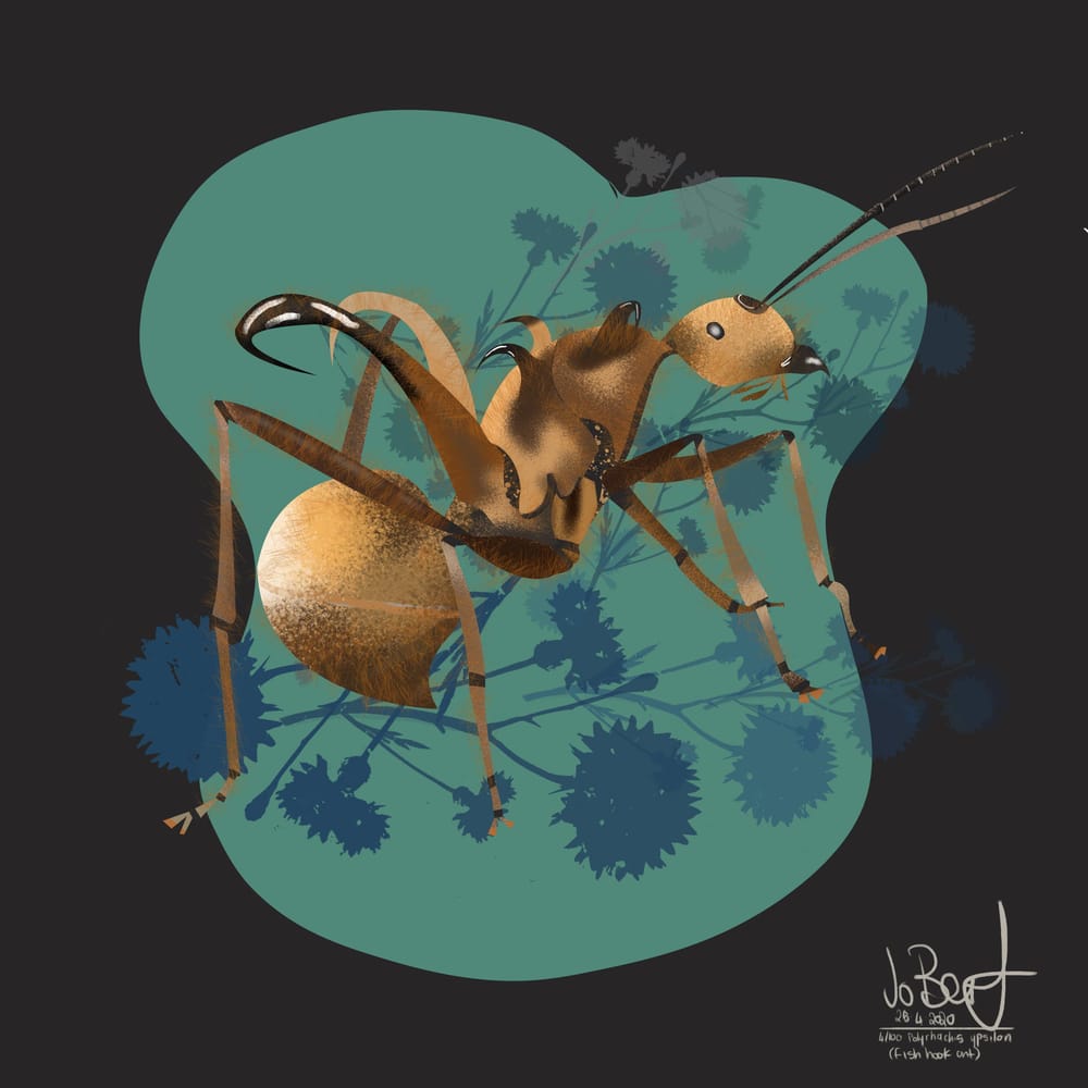 100 illustrated bugs! - image 5 - student project