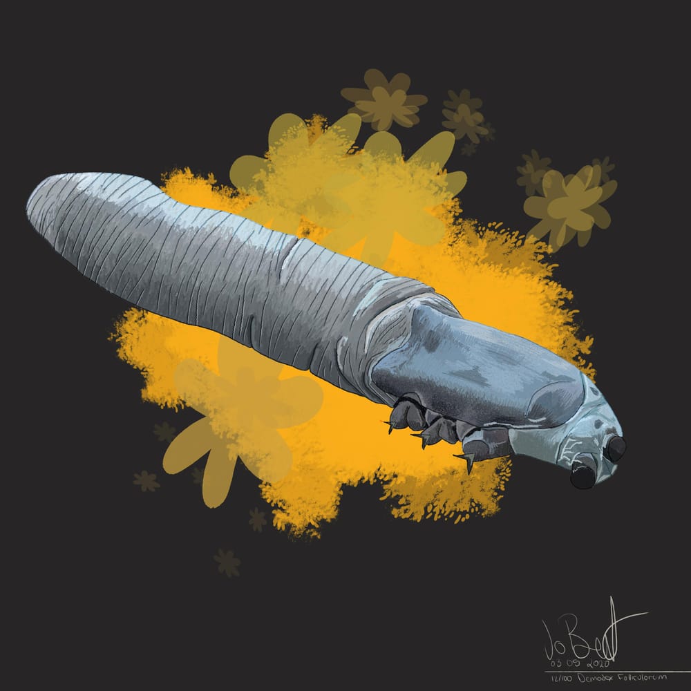 100 illustrated bugs! - image 13 - student project