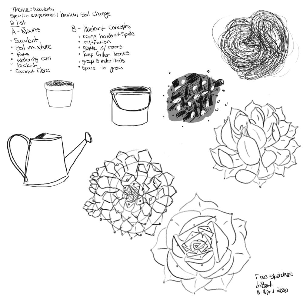 Succulents: re-potting with ideal soil - image 1 - student project