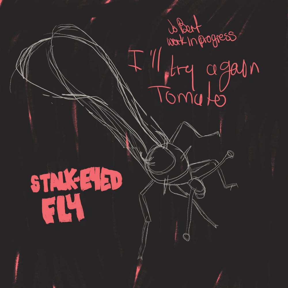 100 illustrated bugs! - image 15 - student project