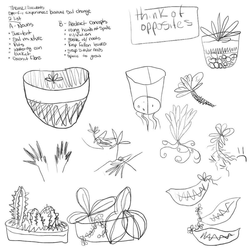 Succulents: re-potting with ideal soil - image 3 - student project