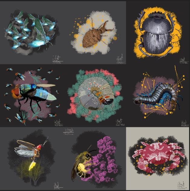 100 illustrated bugs! - image 23 - student project