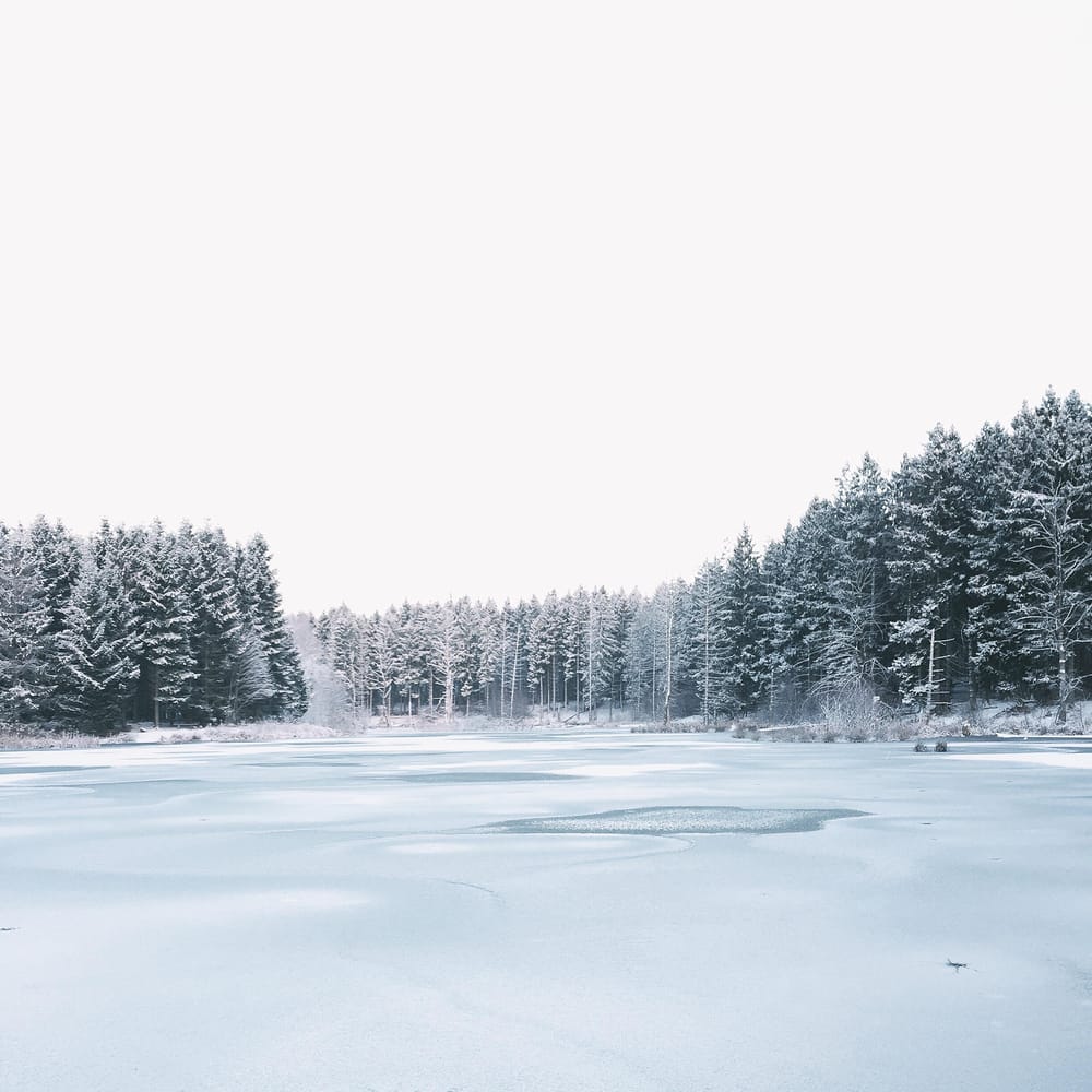9 photos that represent my Instagram brand. - image 6 - student project