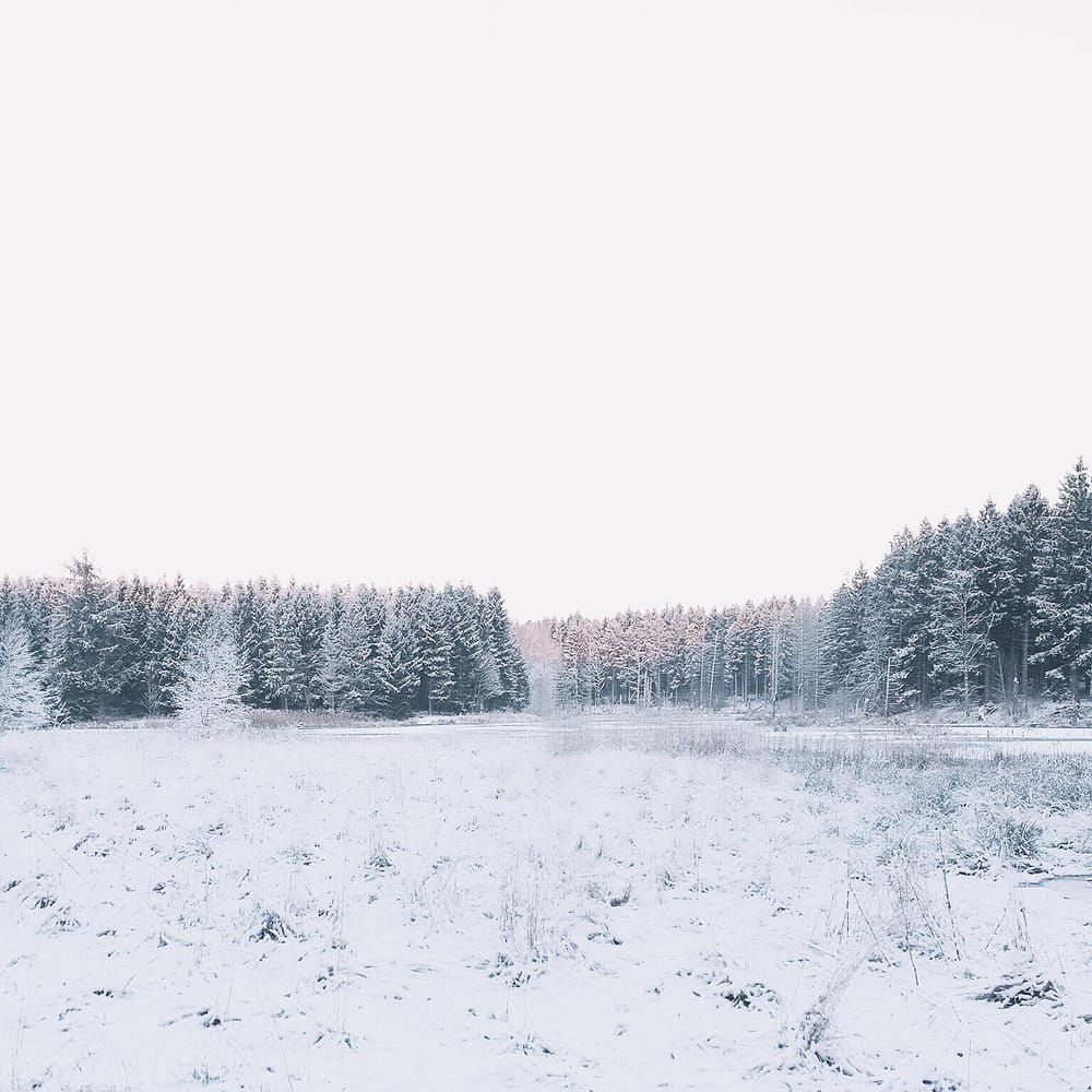 9 photos that represent my Instagram brand. - image 2 - student project