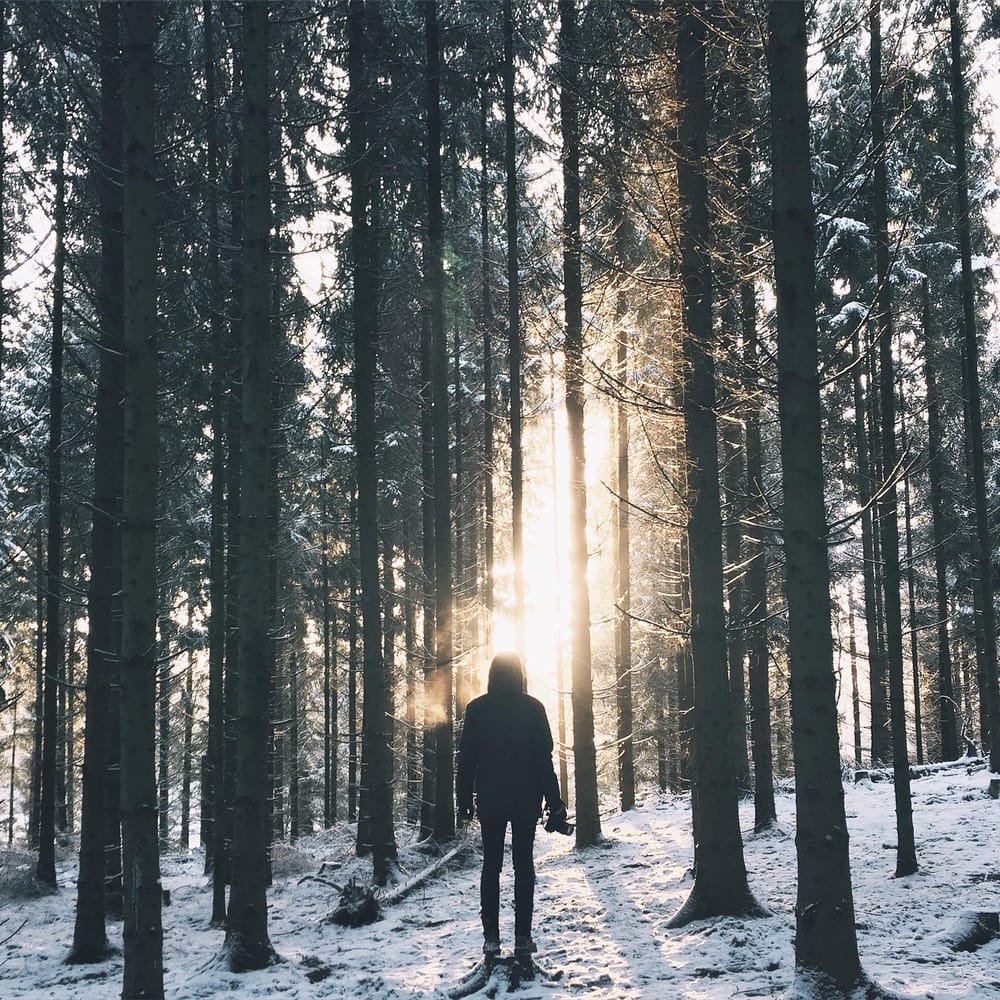9 photos that represent my Instagram brand. - image 4 - student project