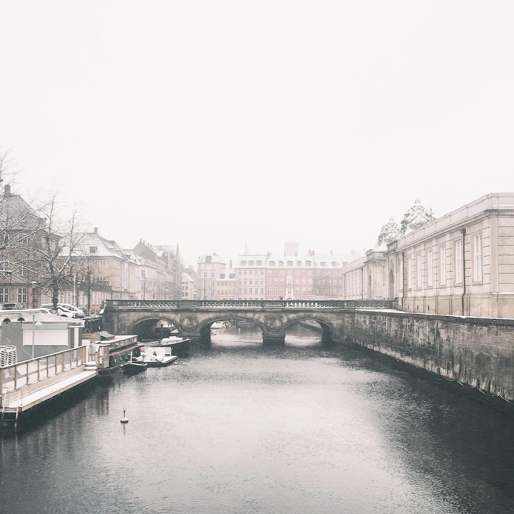 9 photos that represent my Instagram brand. - image 1 - student project