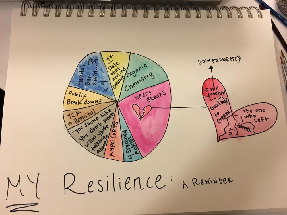 Resilience Pie Chart - image 1 - student project