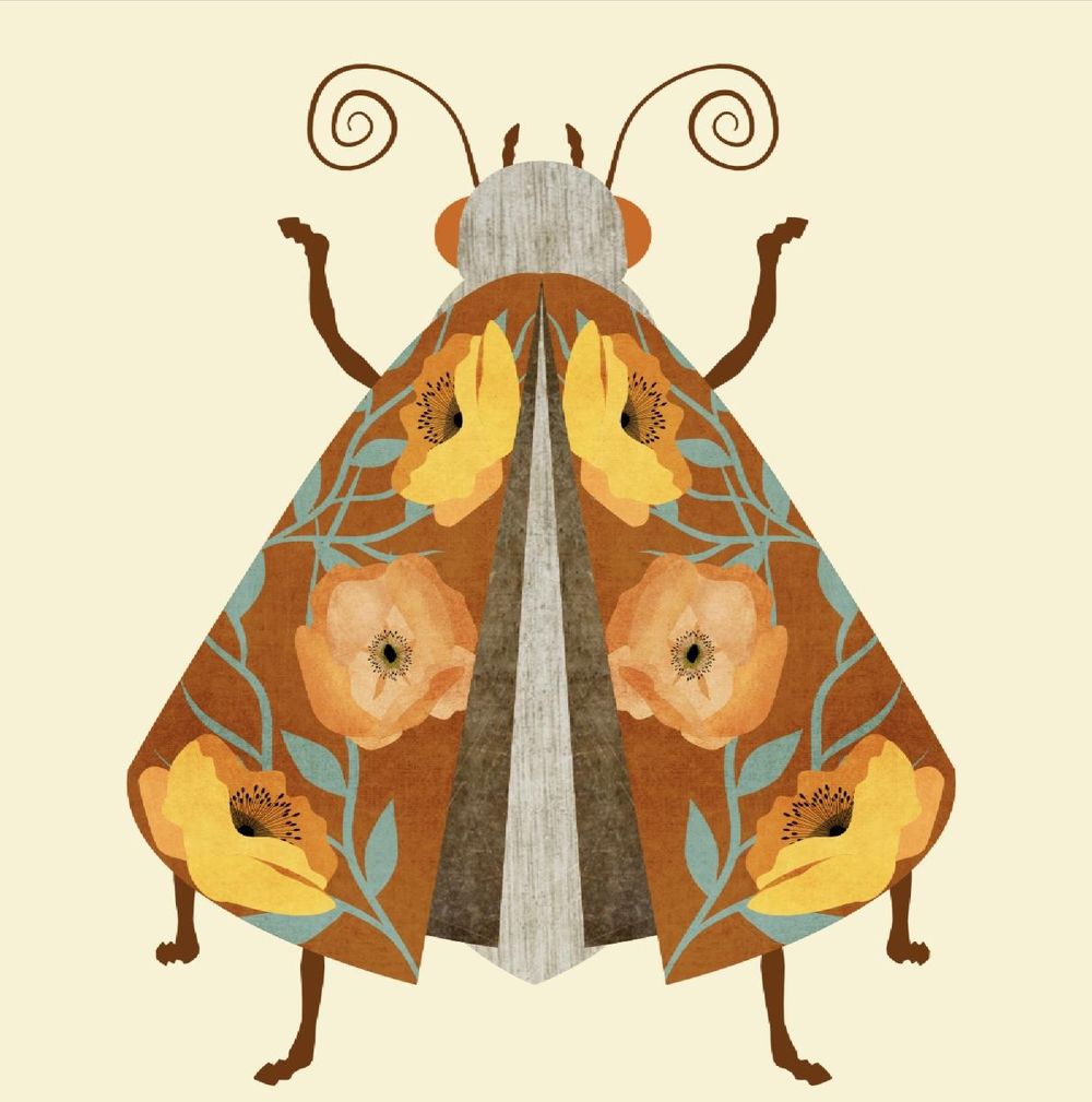 So many bugs... so little time. - image 3 - student project