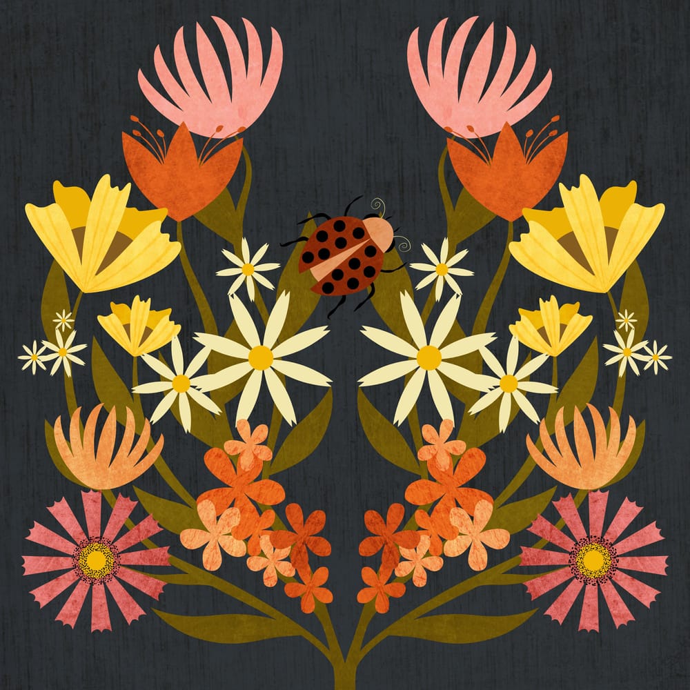 Symbol Symmetry in Affinity Designer Projects - image 2 - student project
