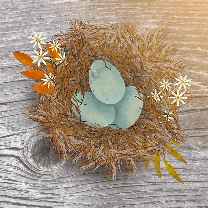 One Brush, Two Nests, Two Different Perspectives - image 1 - student project