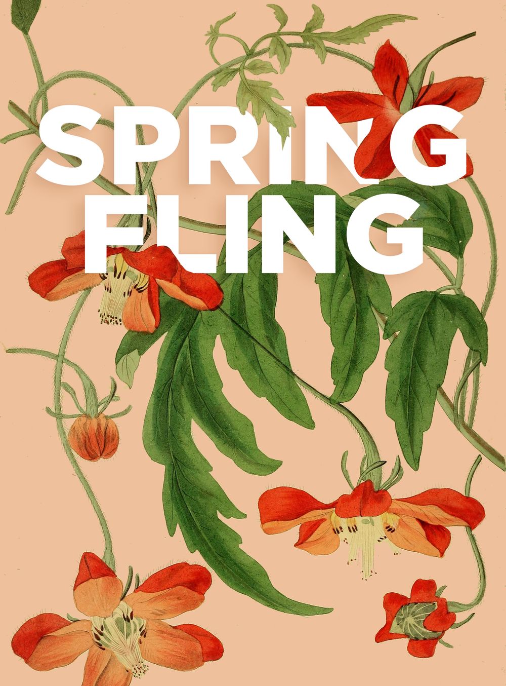 Spring Fling - image 4 - student project
