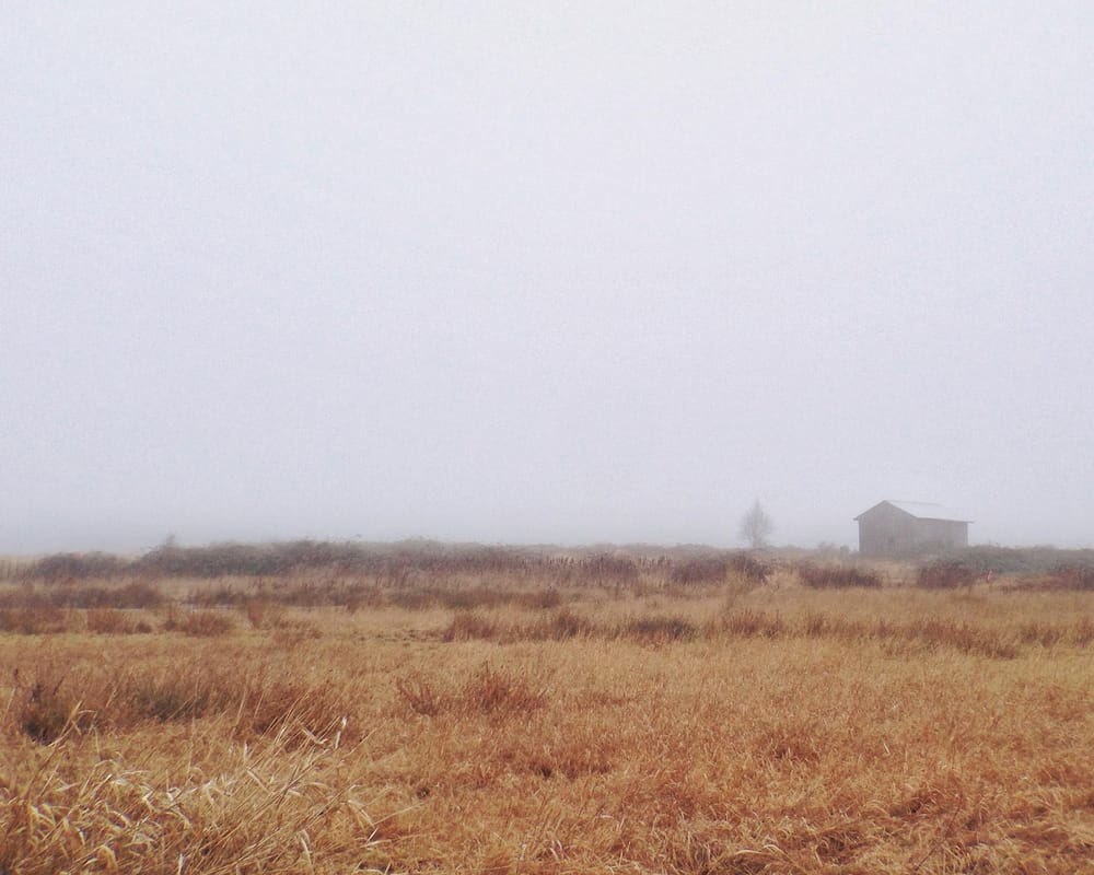 #Fogcouver (Vancouver Fog) - image 1 - student project