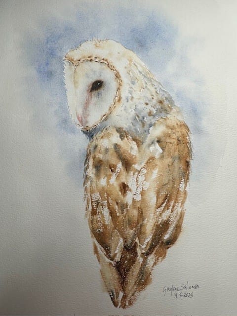 Barn Owl - image 1 - student project