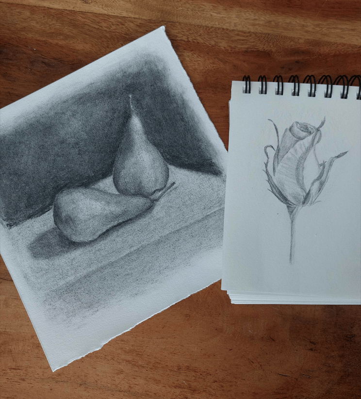 Back to Basics - image 1 - student project