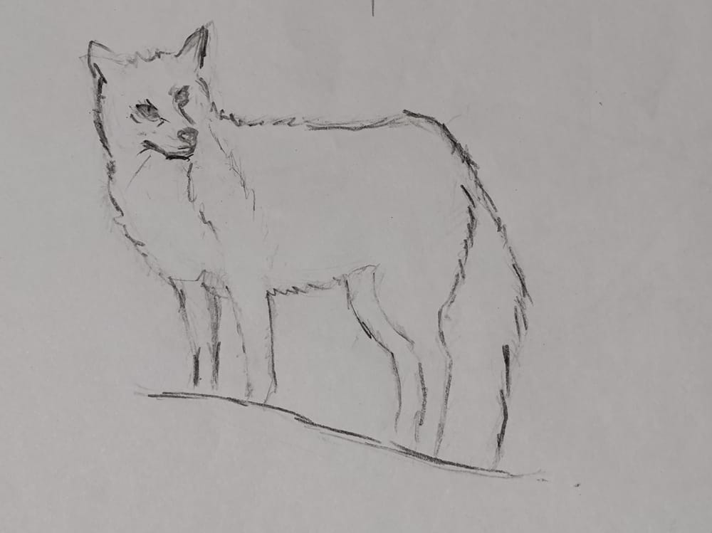 Exercises - image 3 - student project