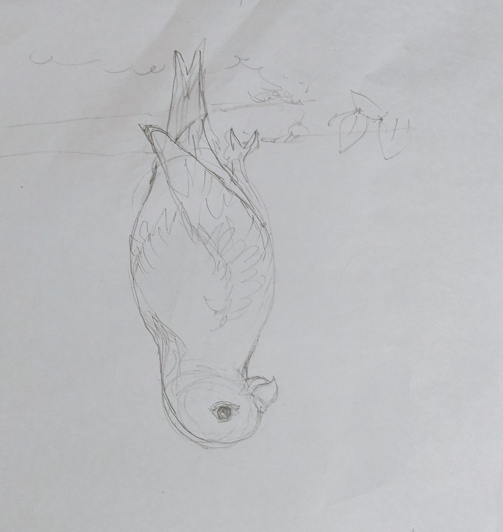 Exercises - image 1 - student project