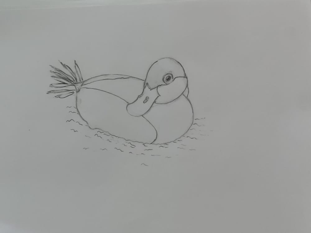 Duck - image 1 - student project